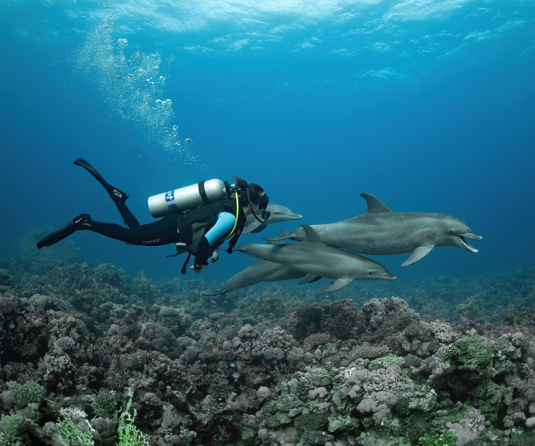 Underwater Colour